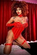 Foto Stella Sexy Transescort Milano 3295563971 - 11