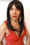 Foto Tain� Oliveira Sexy Trans Prato 3285382487 - 51