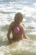 Foto Tain� Oliveira Sexy Transescort Prato 3285382487 - 9