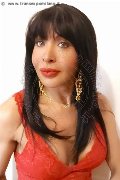 Foto Tain� Oliveira Sexy Transescort Prato 3285382487 - 52