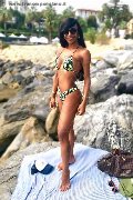 Foto Vivy Noronha Sexy Transescort Sanremo 3331867209 - 21